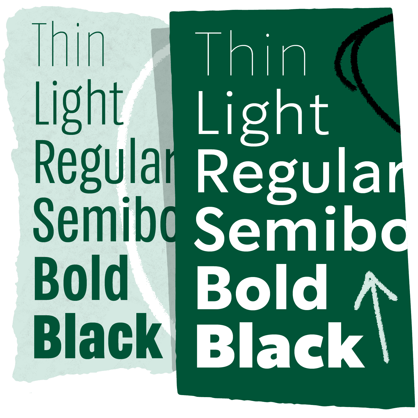 <b class="accent">FIG. 15 — </b> A comparison between Pike and SoDo Sans.