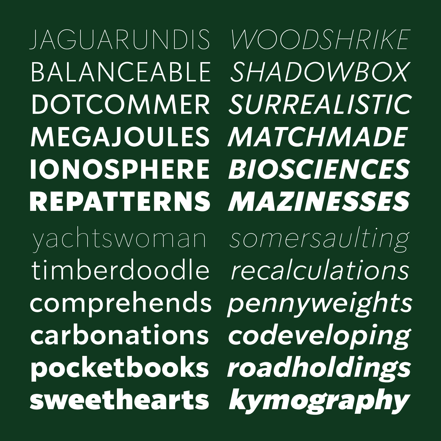 <b class="accent">FIG. 3 — </b> SoDo Sans.