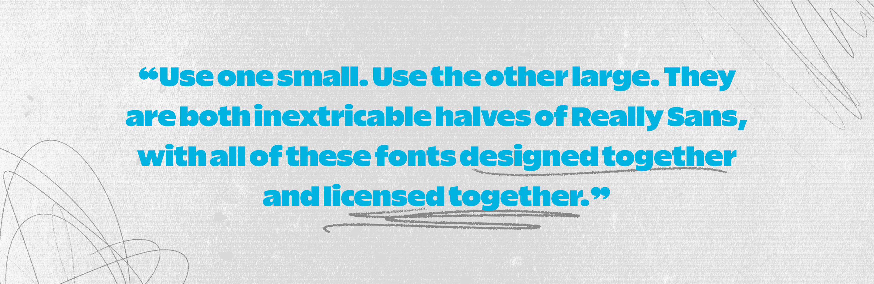 03-LM-ReallySans-CaseStudy-FullWidth-Quote