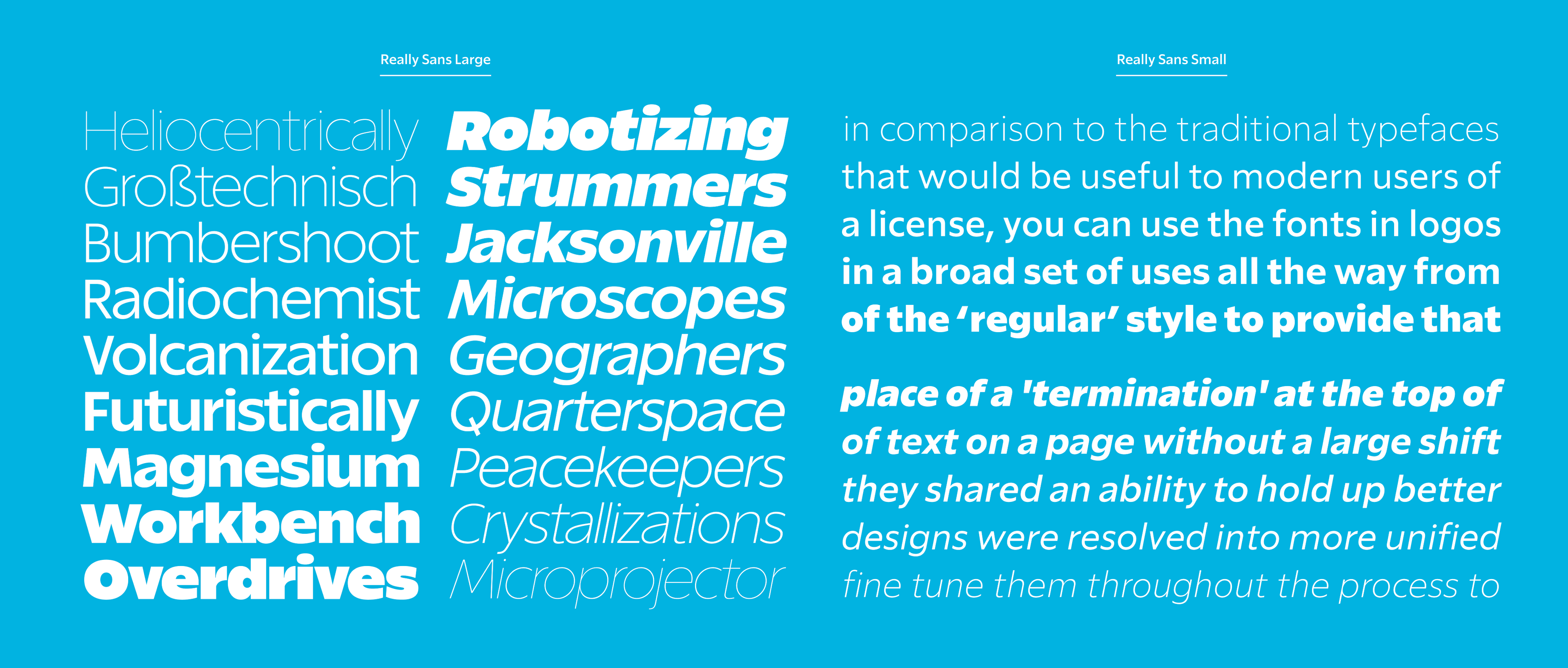 <b class="accent">FIG. 13 — </b> A typeset specimen of Really Sans, featuring both optical sizes.