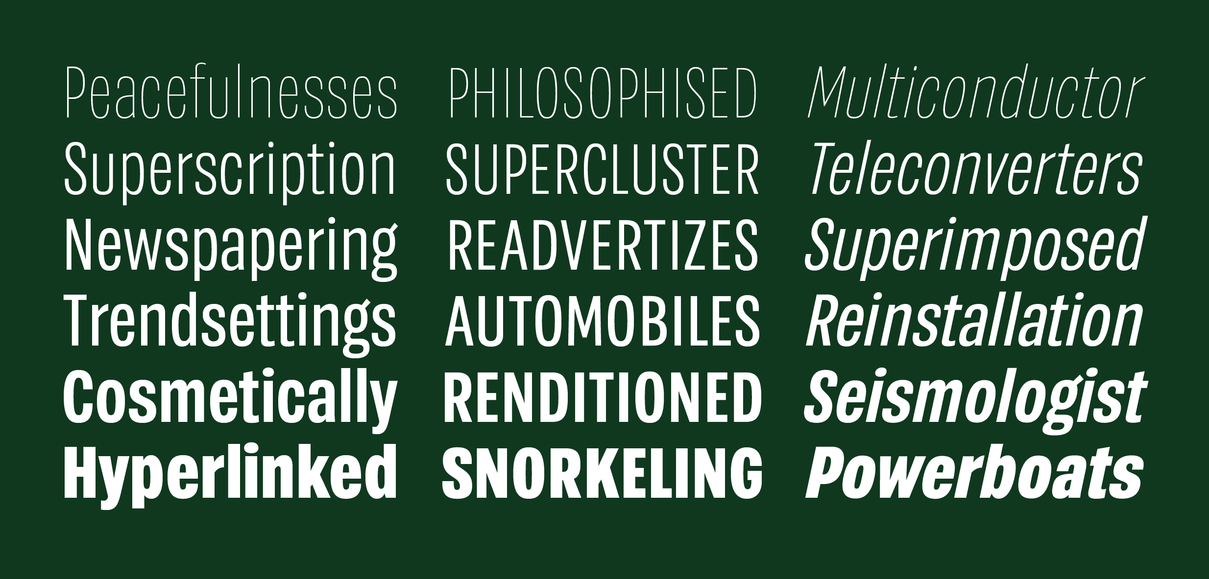 <b class="accent">FIG. 16 — </b> A specimen of the various Pike fonts.