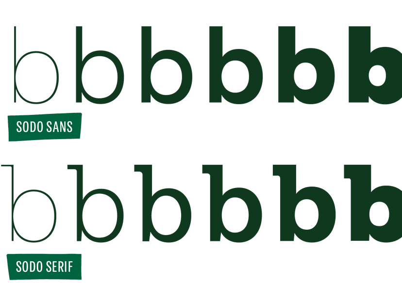 Starbucks Case Study Lettermatic